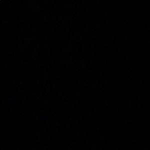 Meet your Posher, Kendrah